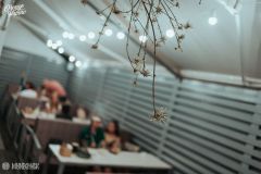 IMG_0893