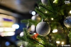 Mundstuk_06-01-2024_0007